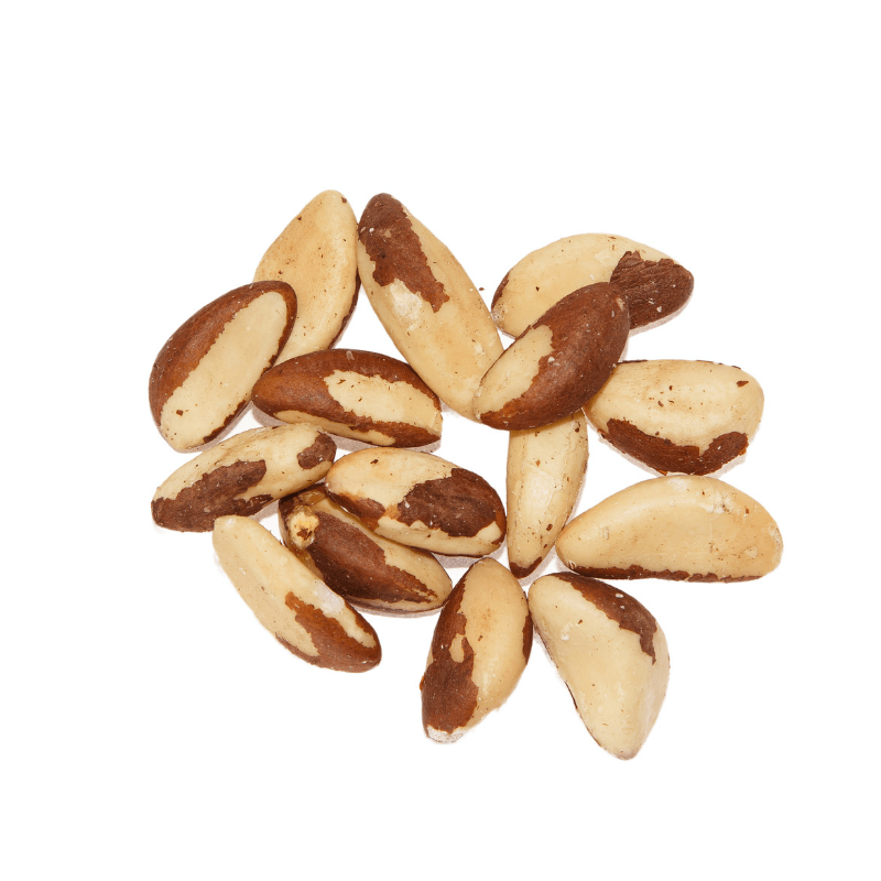 Philon Brazil Nuts